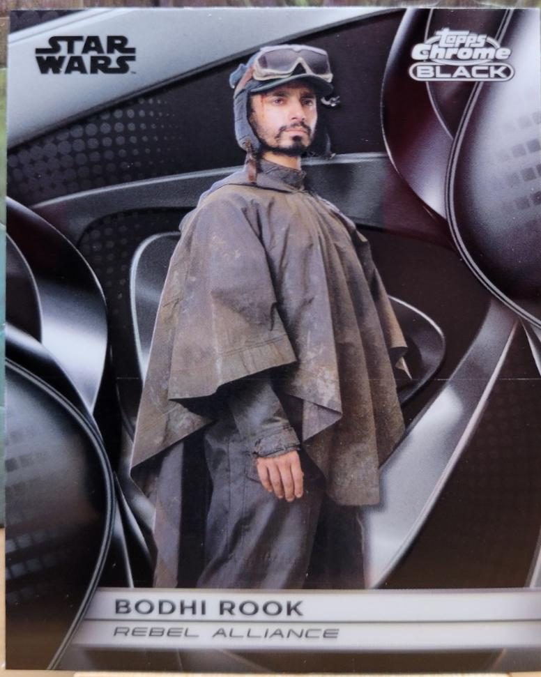 Bodhi Rook