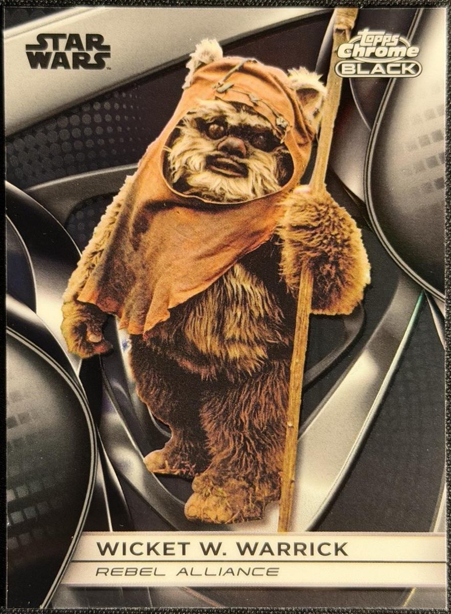 Wicket W. Warrick