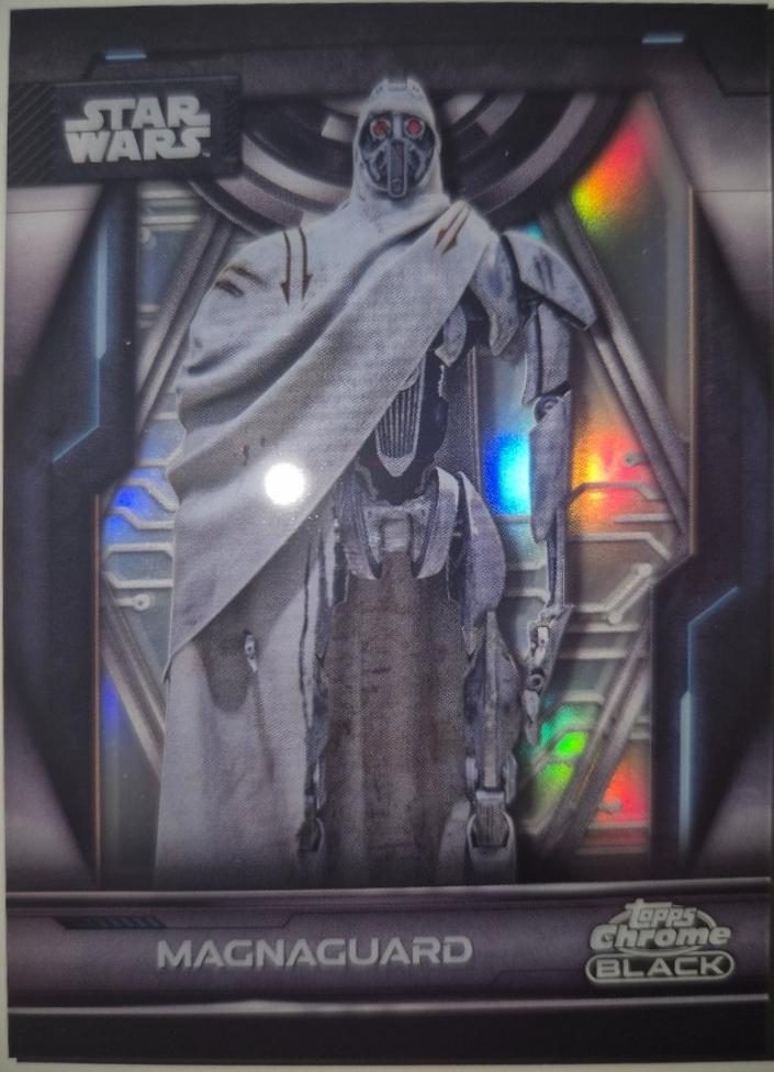 MagnaGuard