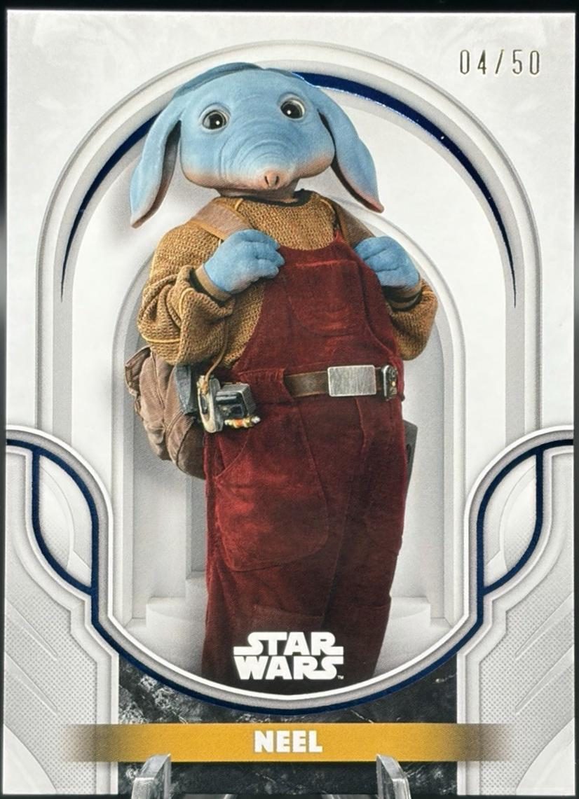 The Mandalorian