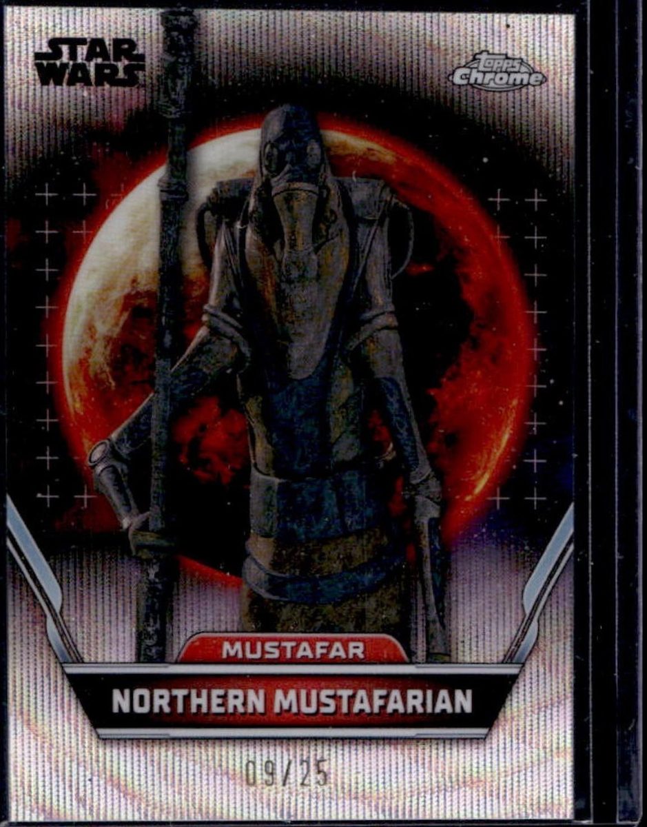 Northern Mustafarian