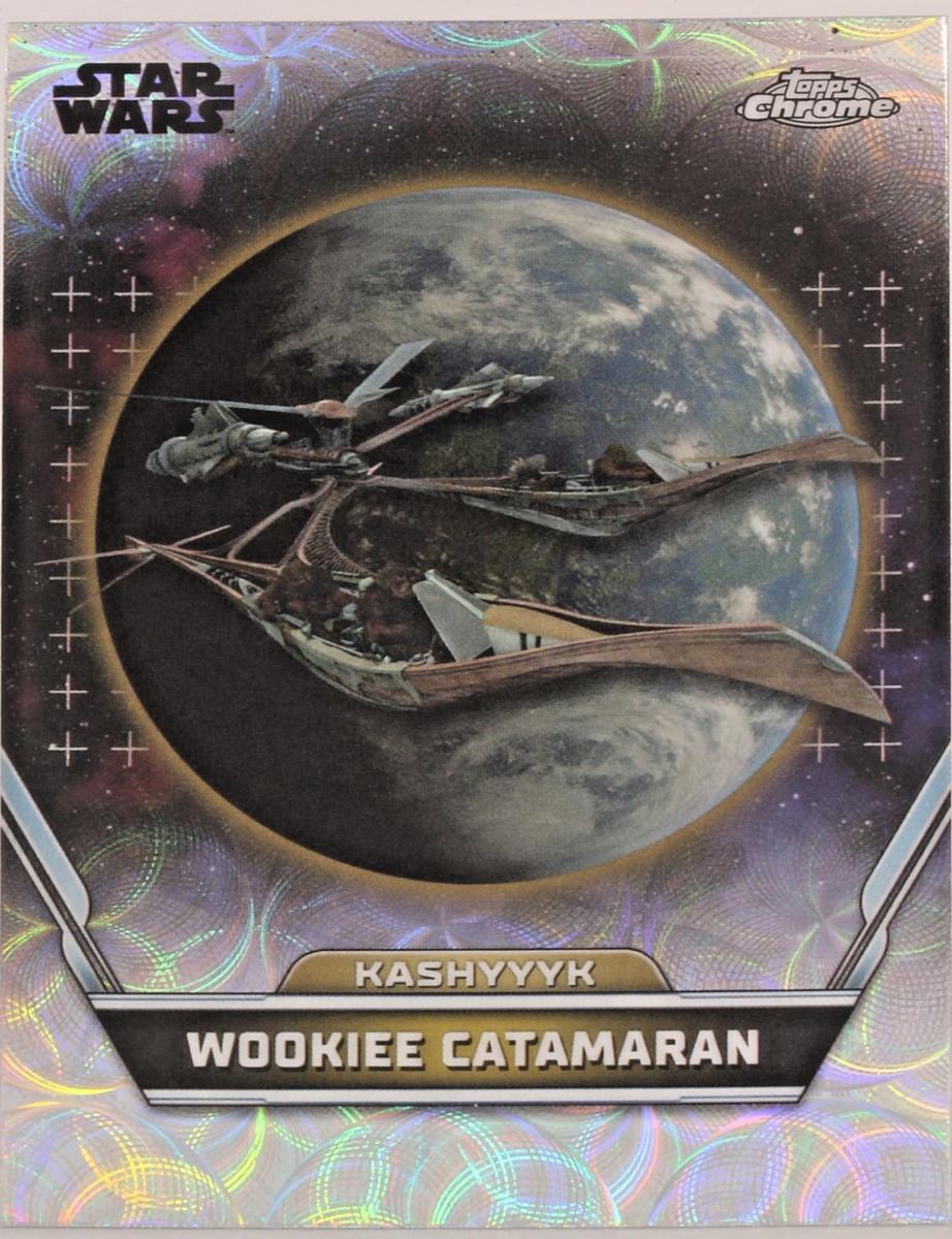 Wookiee Catamaran
