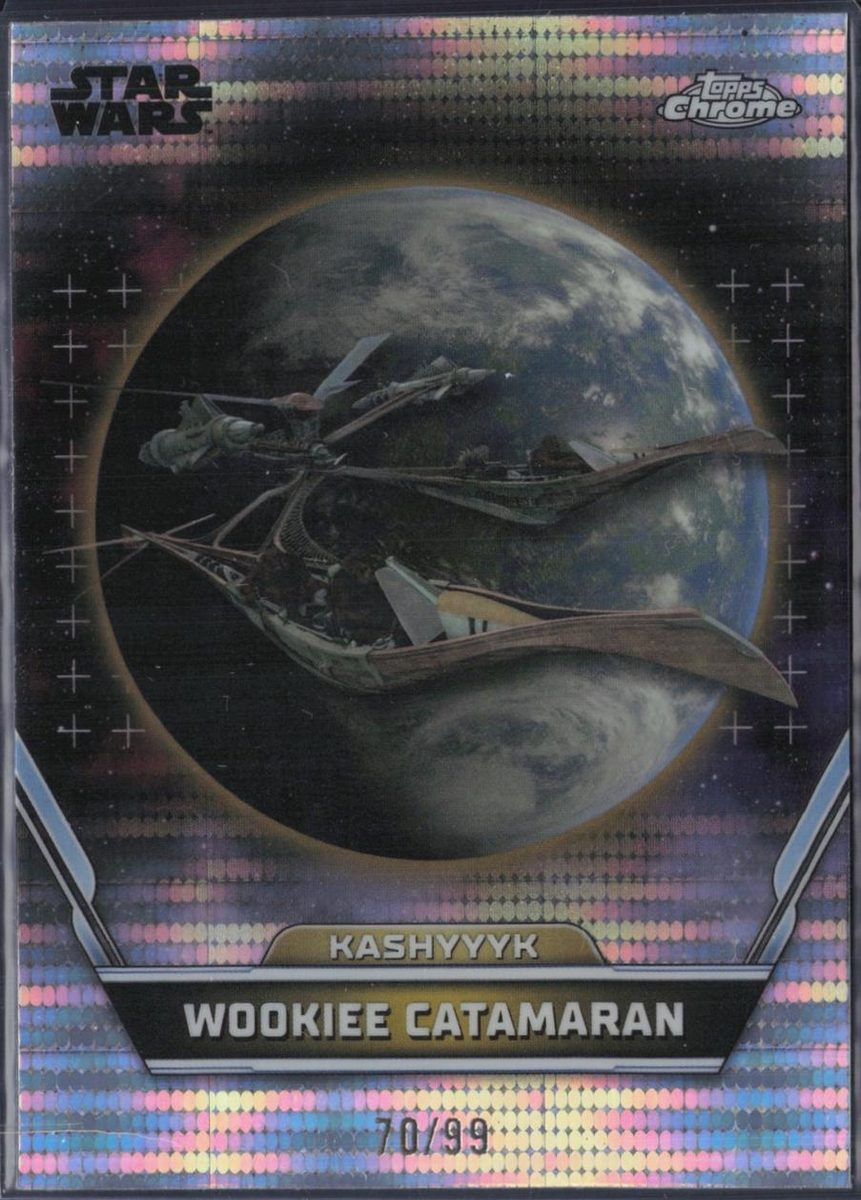 Wookiee Catamaran