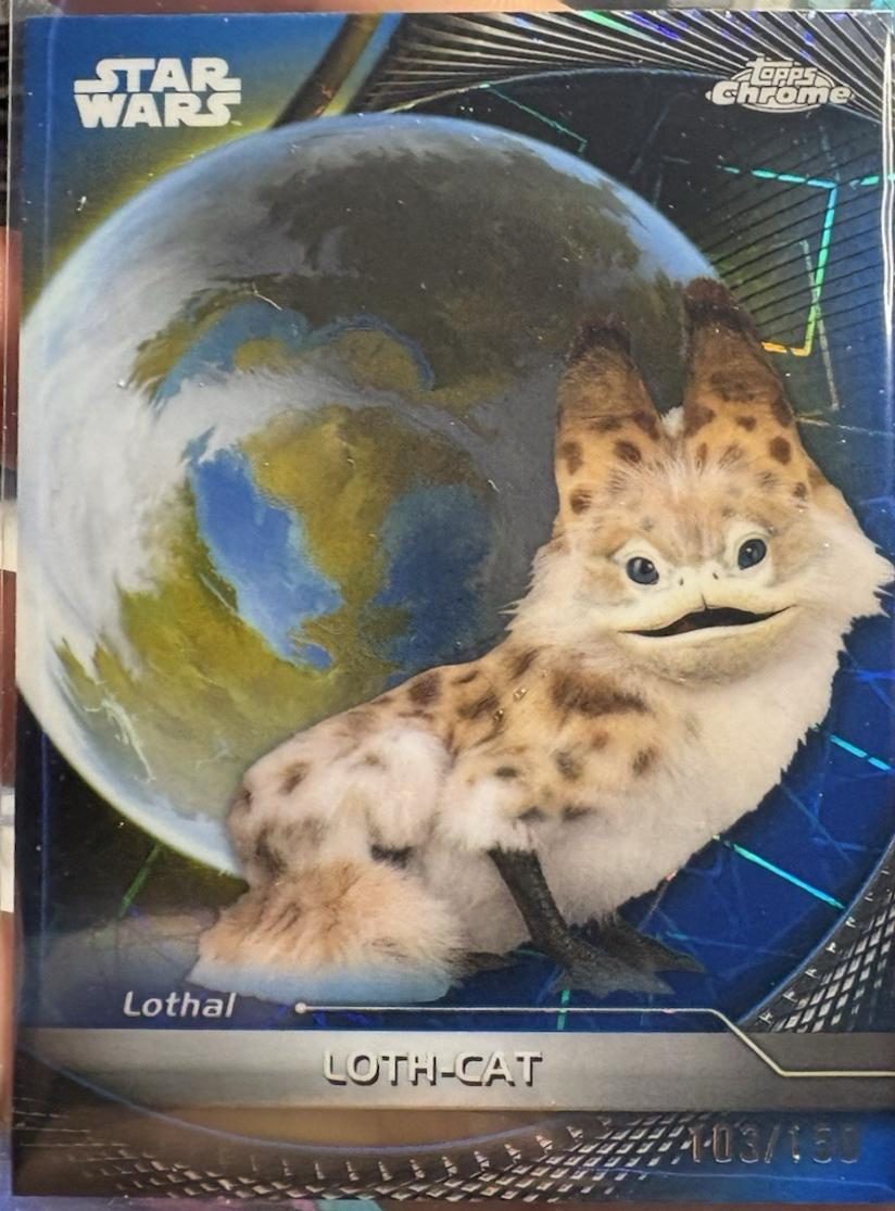 Loth-cat