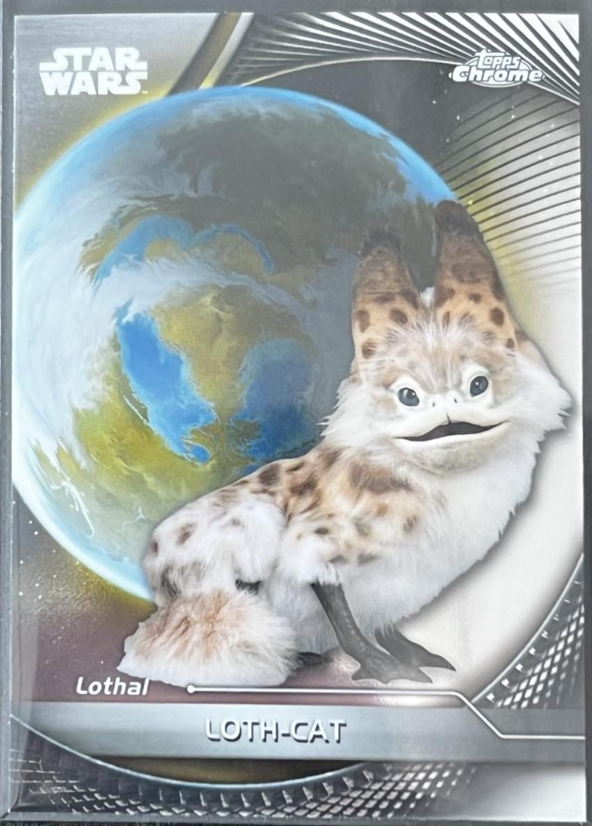 Loth-cat