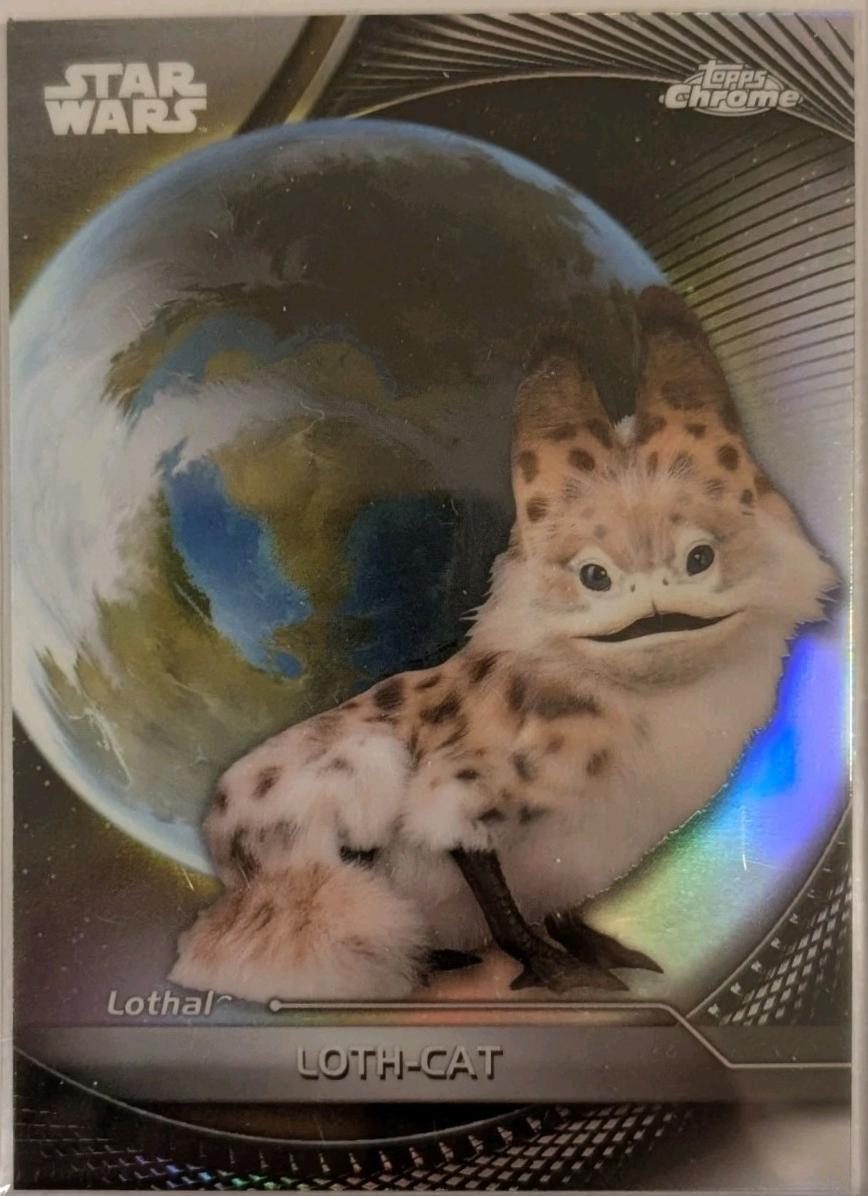 Loth-cat