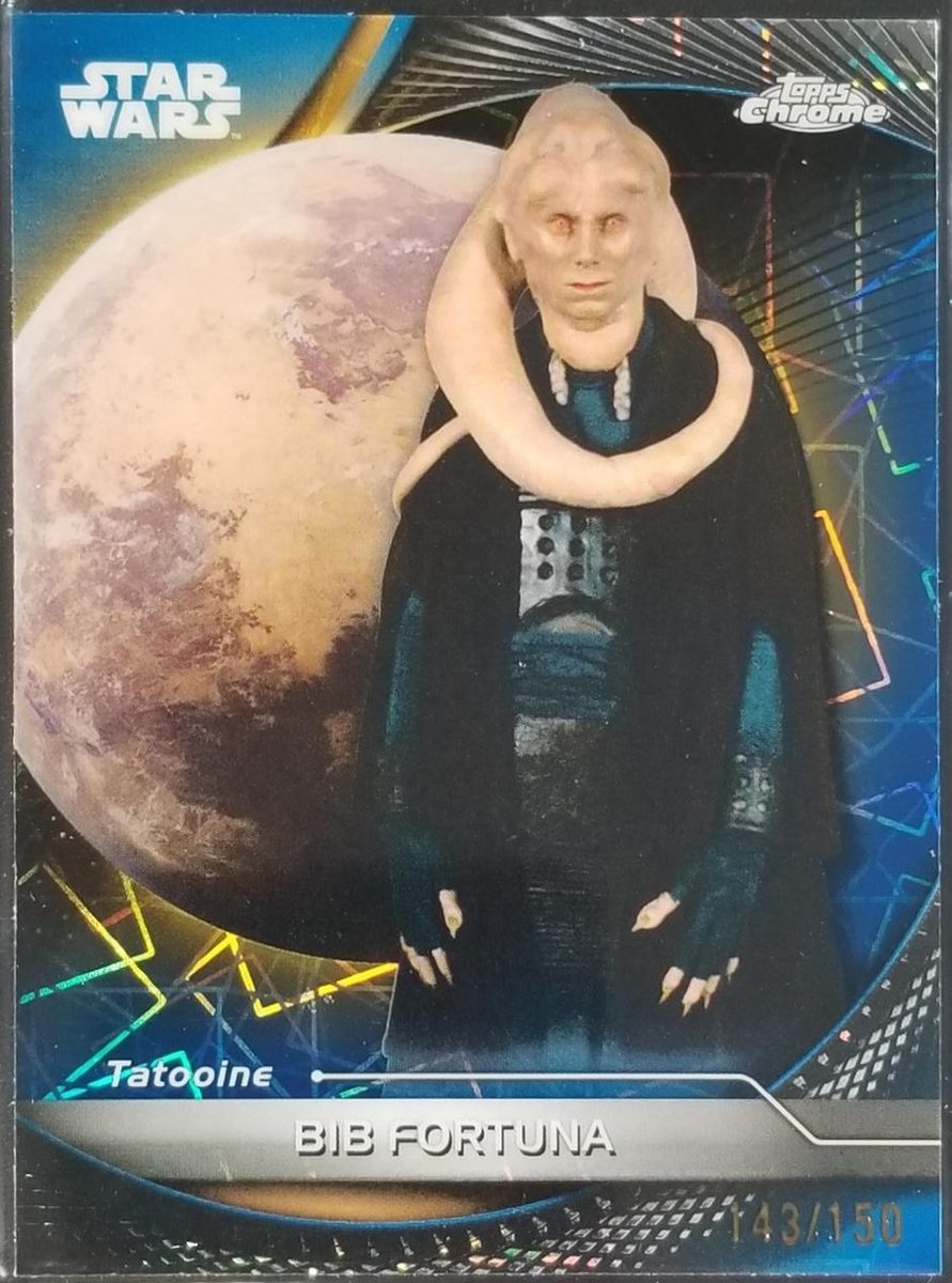 Bib Fortuna