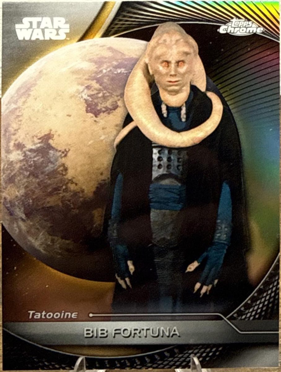 Bib Fortuna