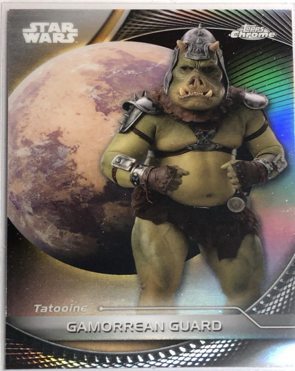Gamorrean Guard