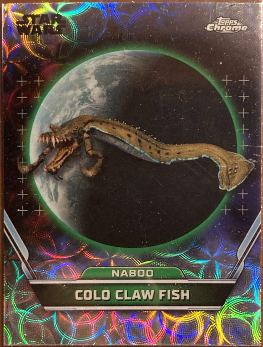 Colo Claw Fish
