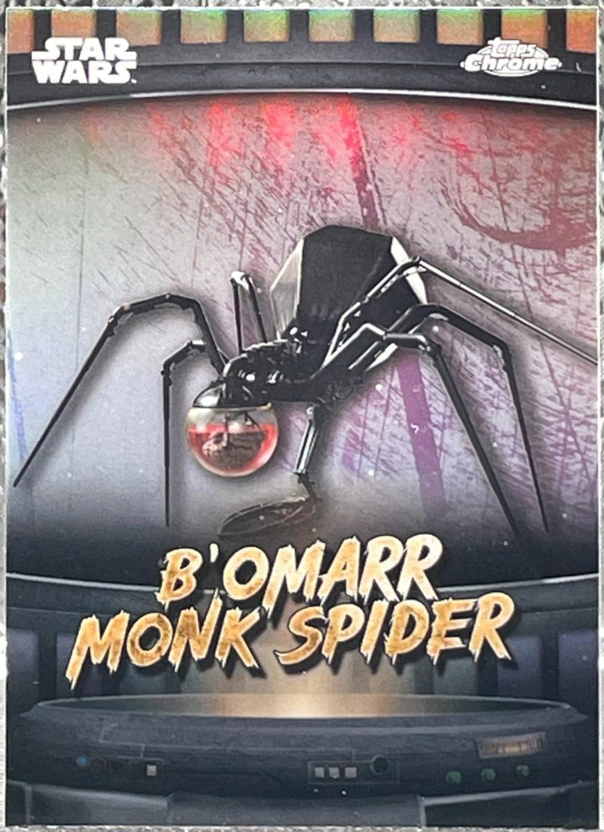 B'omarr monk spider