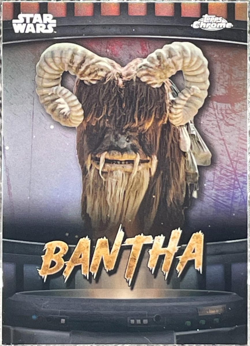 Bantha