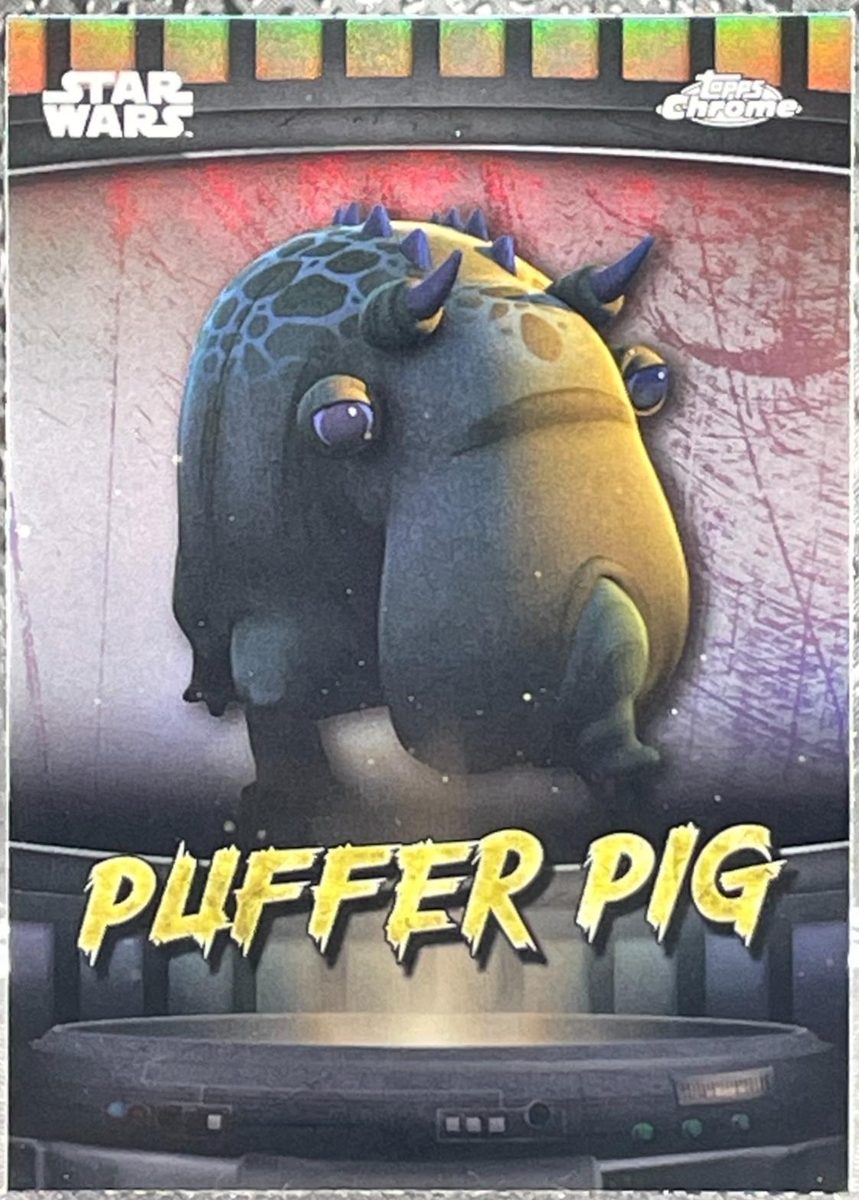 Puffer Pig