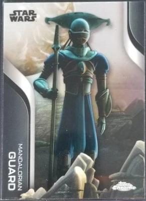 Mandalorian Guard