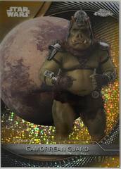 Gamorrean Guard