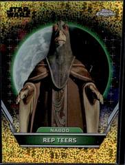 Rep Teers
