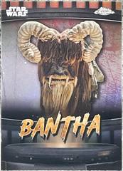 Bantha