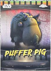 Puffer Pig