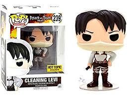 Cleaning Levi