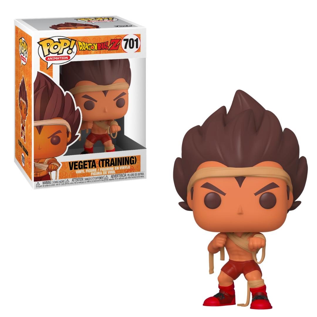 Vegeta Training