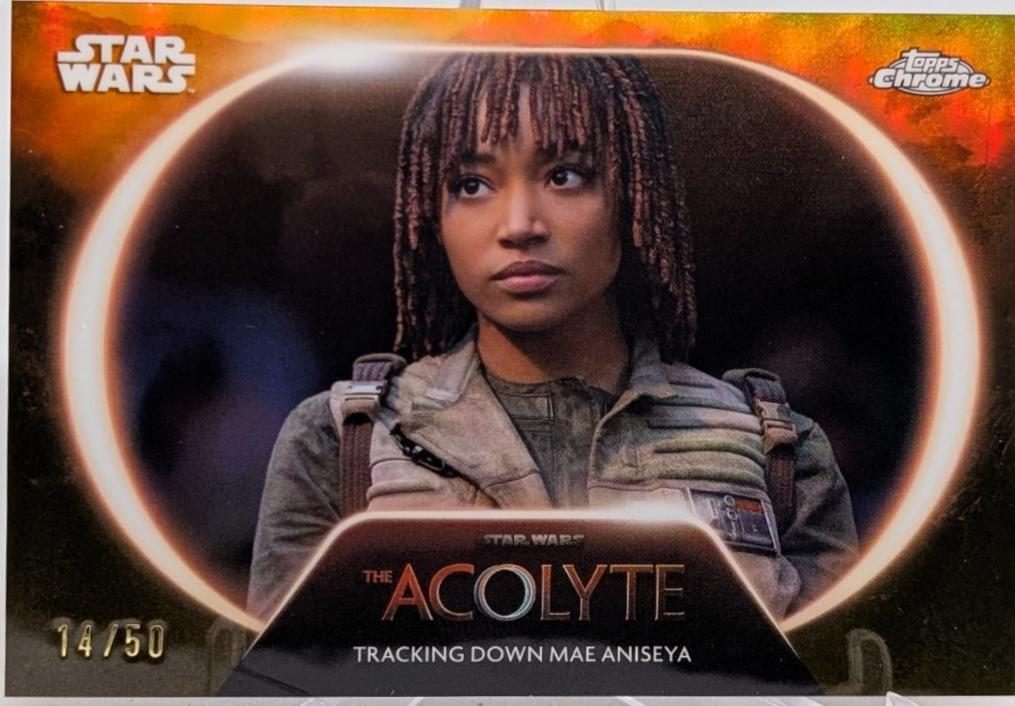 Tracking Down Mae Aniseya