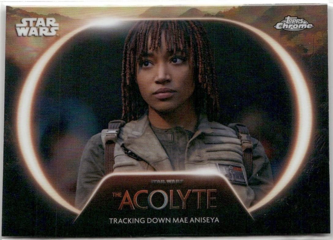 Tracking Down Mae Aniseya