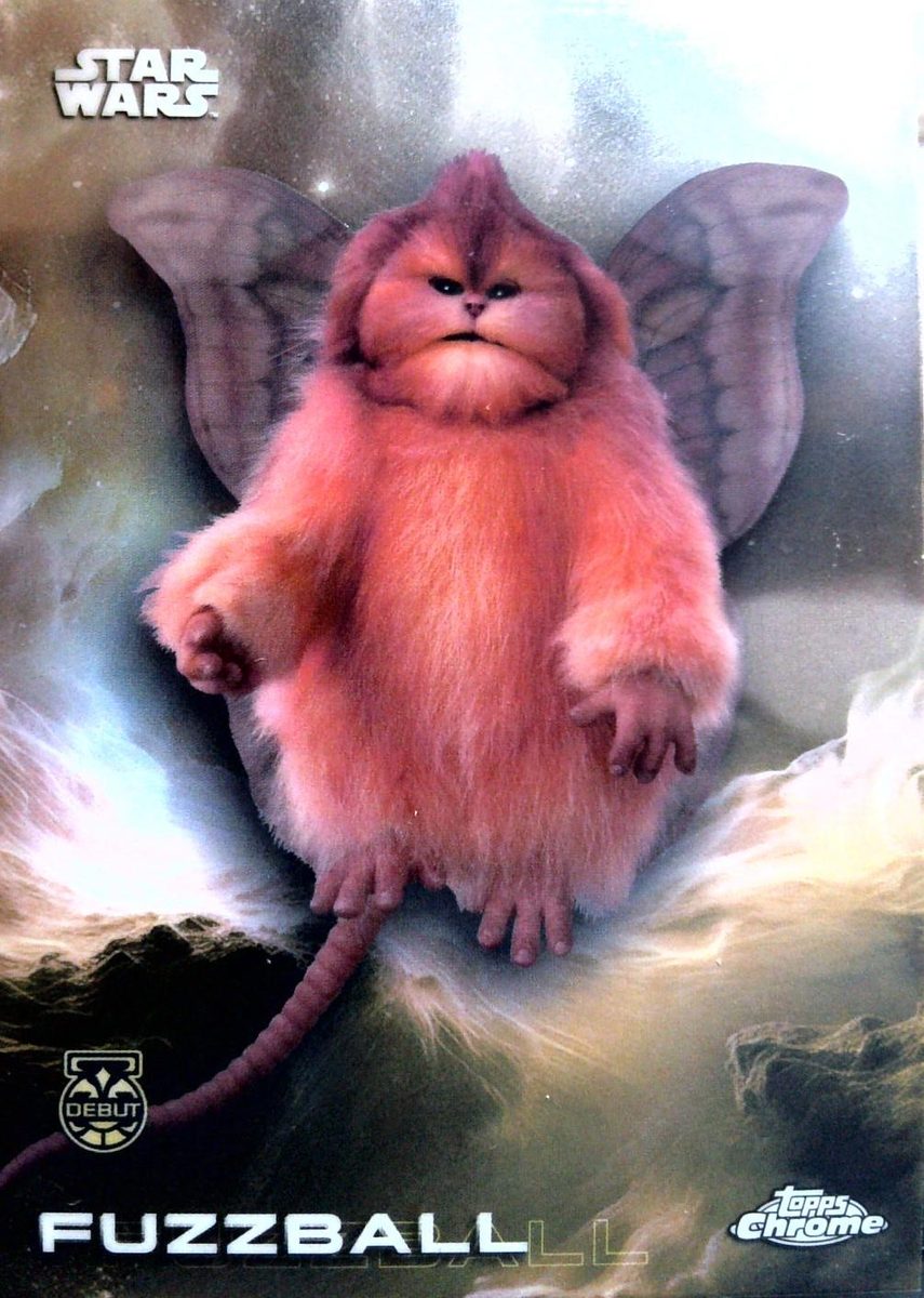 Fuzzball