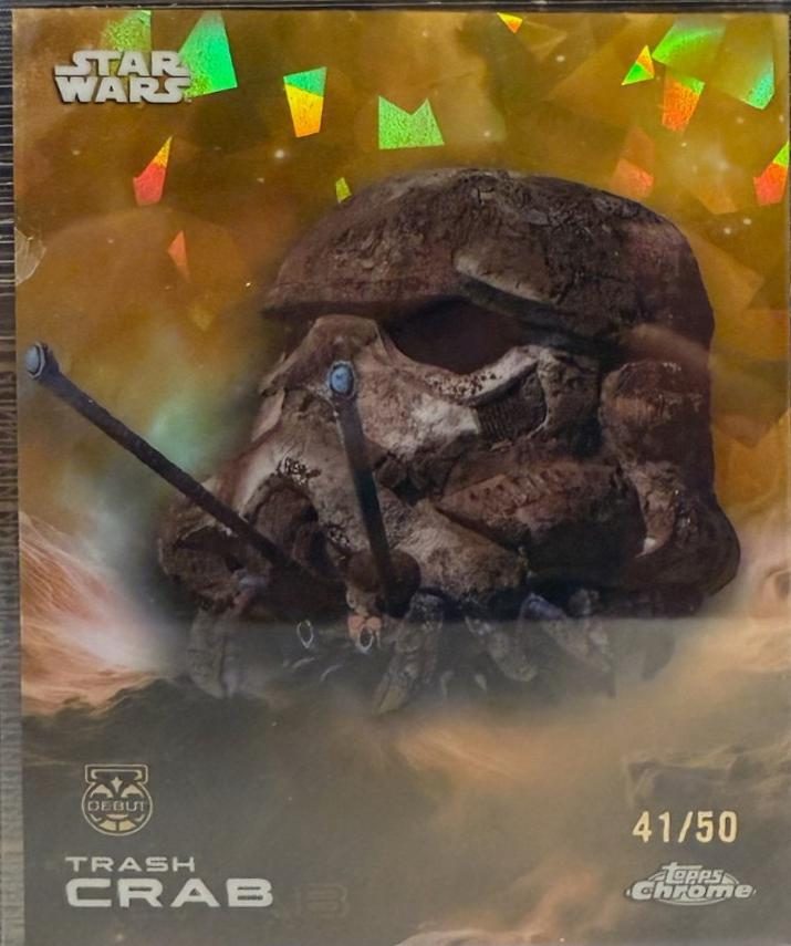 Trash crab