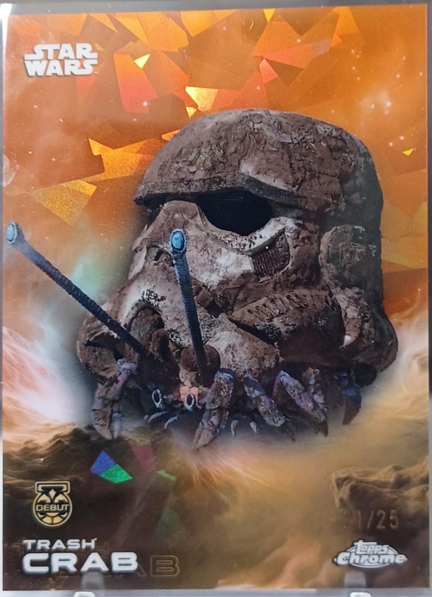 Trash crab