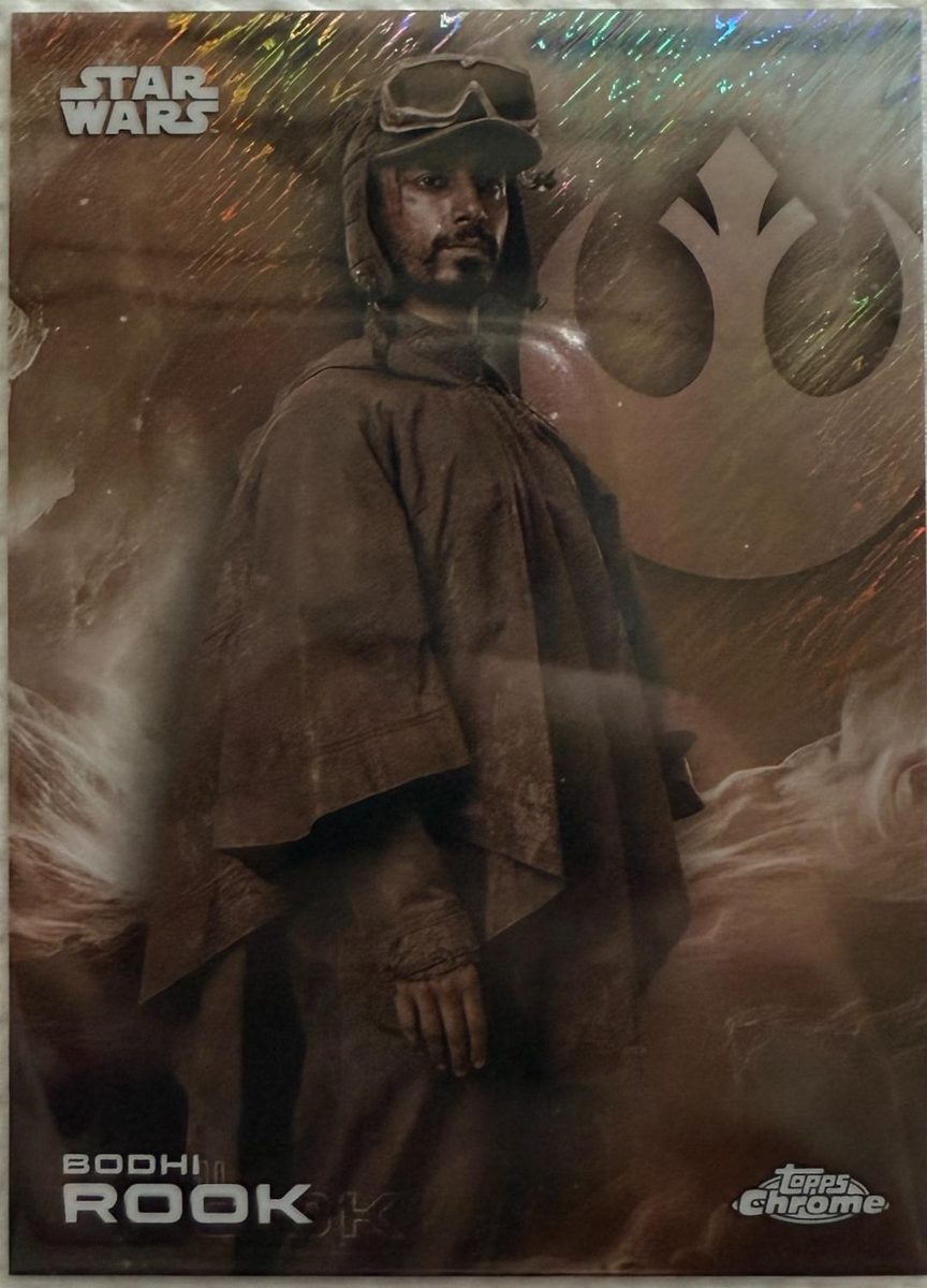 Bodhi Rook