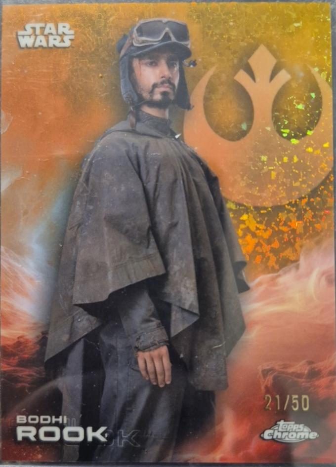 Bodhi Rook