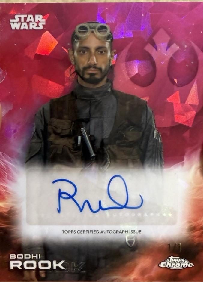 Bodhi Rook