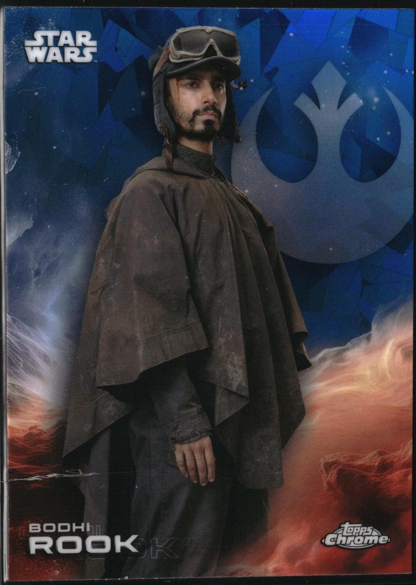 Bodhi Rook