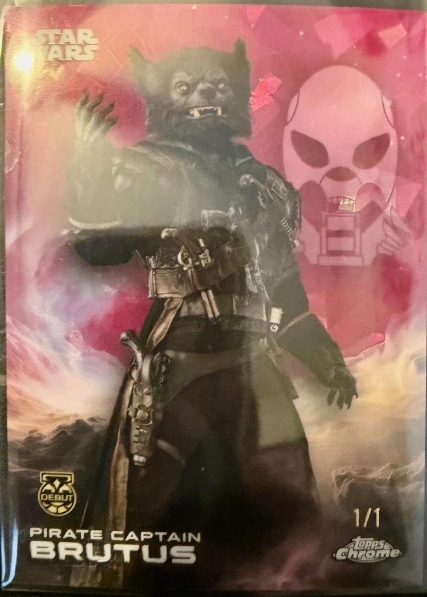 Pirate Captain Brutus