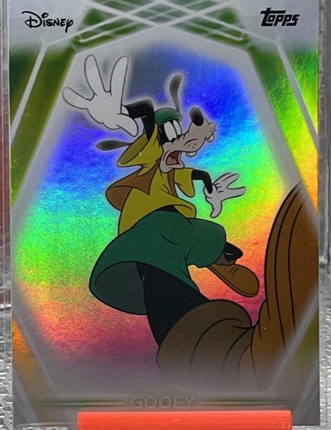 Rainbow Foilboard