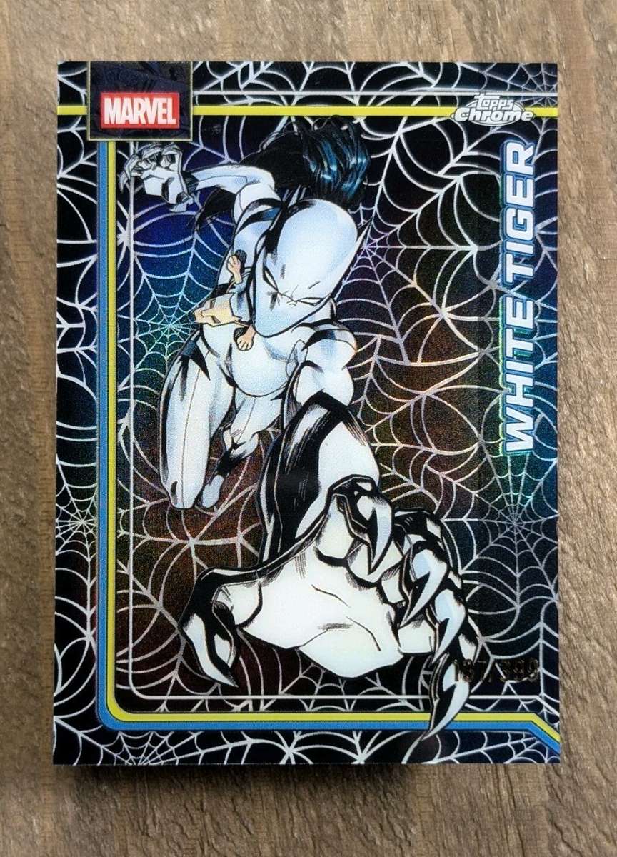 Spider-Web Refractor
