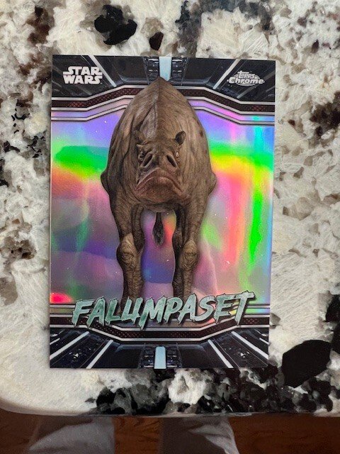 Falumpaset