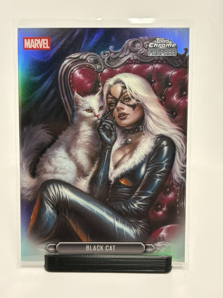 Black Cat