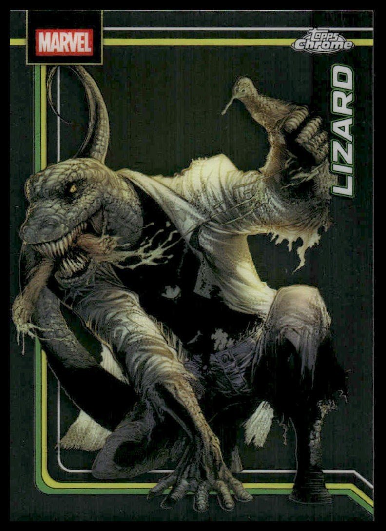 Lizard