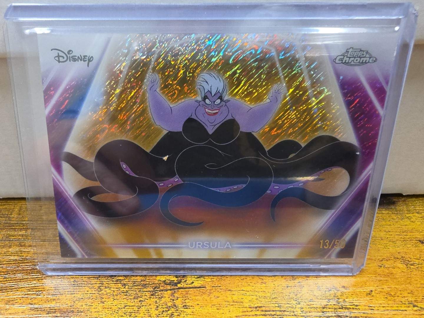 Ursula