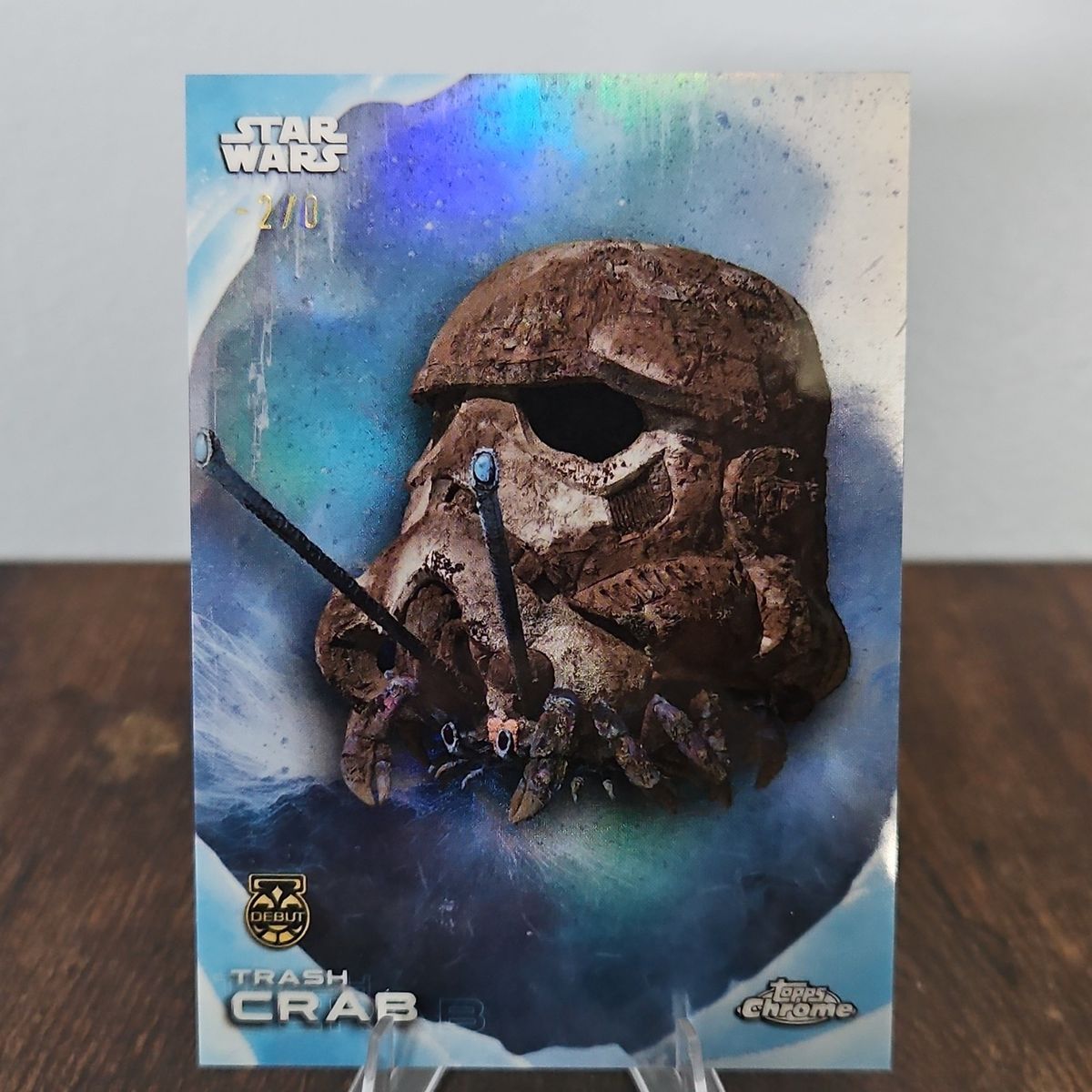 Trash crab