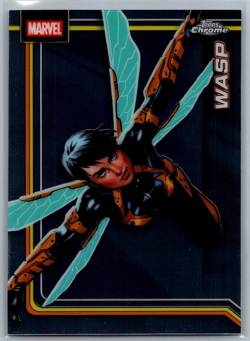 Wasp