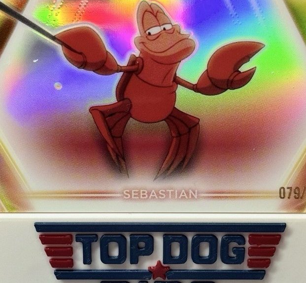 Sebastian