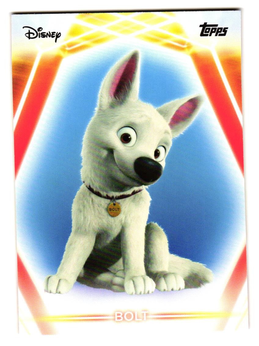 Bolt