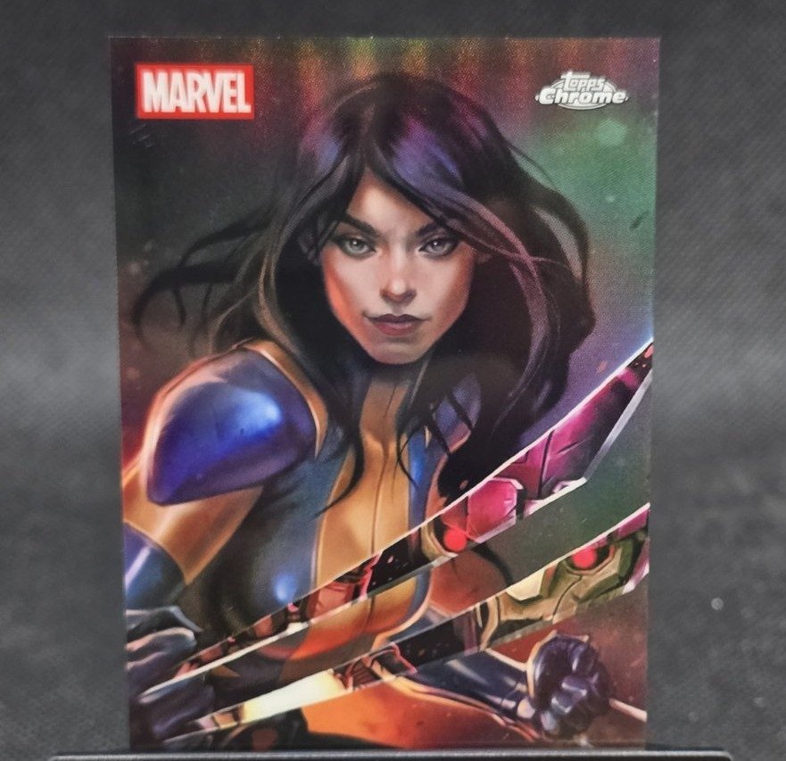 X-23 and Sentinel